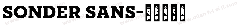 Sonder Sans字体转换